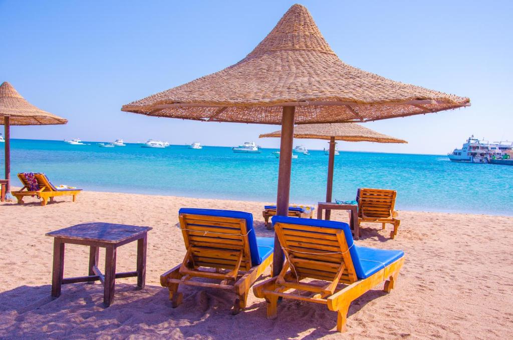 ديكسون روما الغردقة