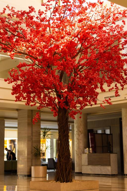 فندق أمارينا سوما باى 5 نجوم الغردقة